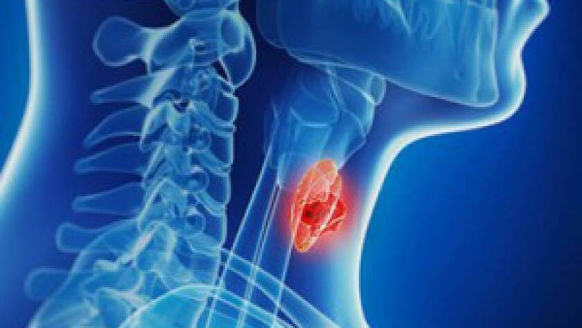 Dr Thiago Verissimo - Obesidade, Hipertrofia Muscular, Medicina do esporte, Distúrbios hormonais, Diabetes, Doenças da tireoide em Manaus - AM